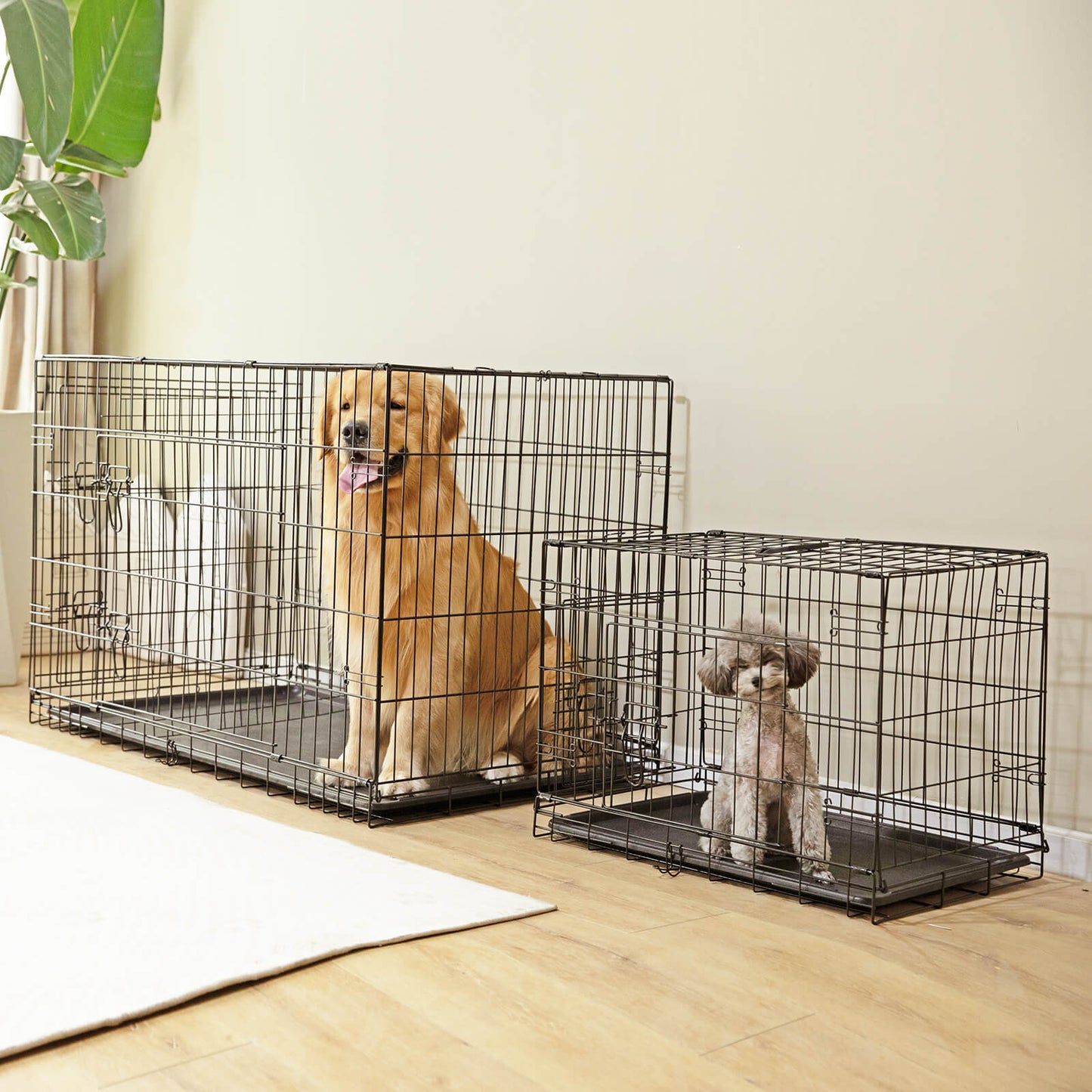 Dog Crate-24/30/36/42/48 inch, Double Door Dog Cage with Divider Panel and Plastic Leak-Proof Pan Tray, foldable, easy to carry, suitable for indoor, outdoor, travel use.