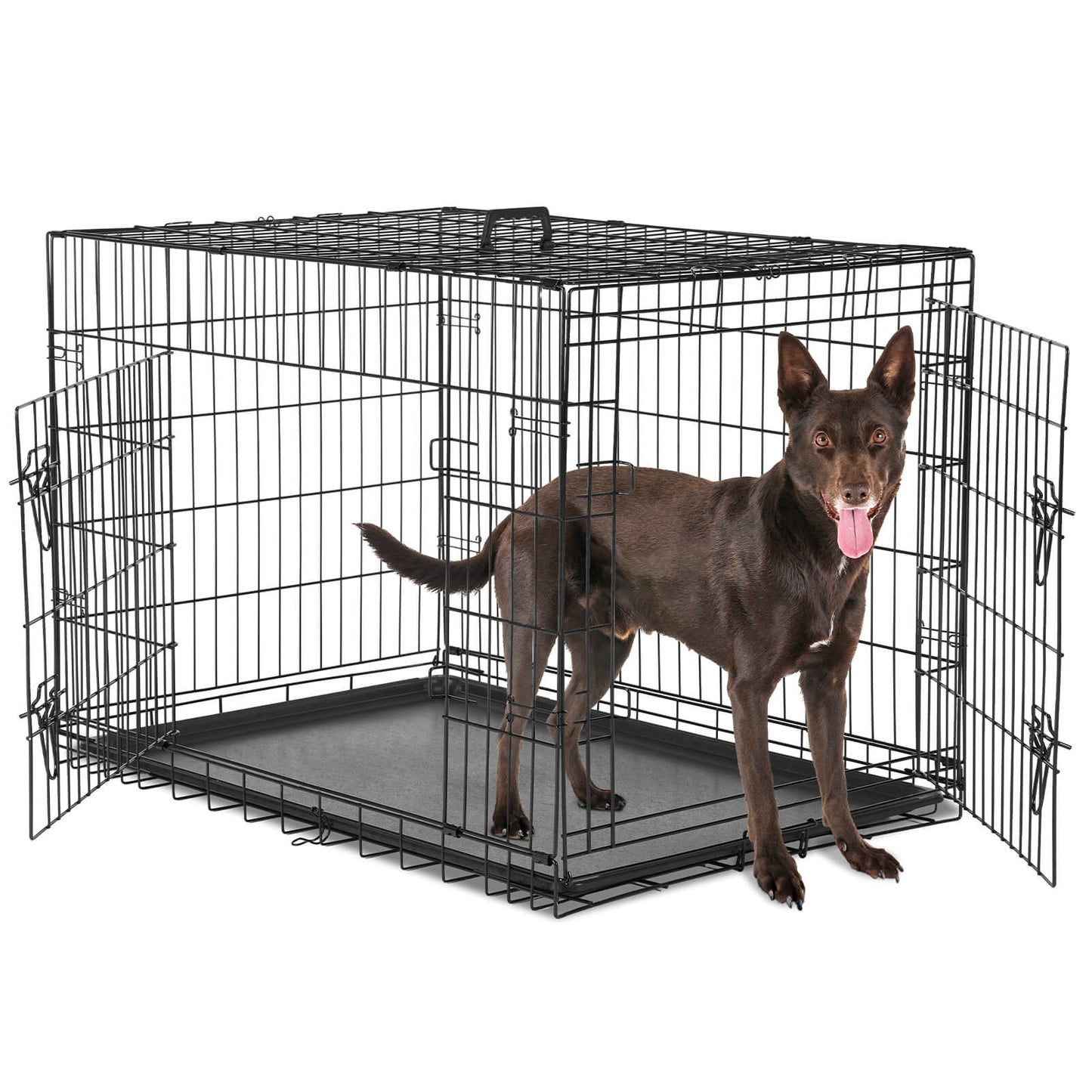 Dog Crate-24/30/36/42/48 inch, Double Door Dog Cage with Divider Panel and Plastic Leak-Proof Pan Tray, foldable, easy to carry, suitable for indoor, outdoor, travel use.