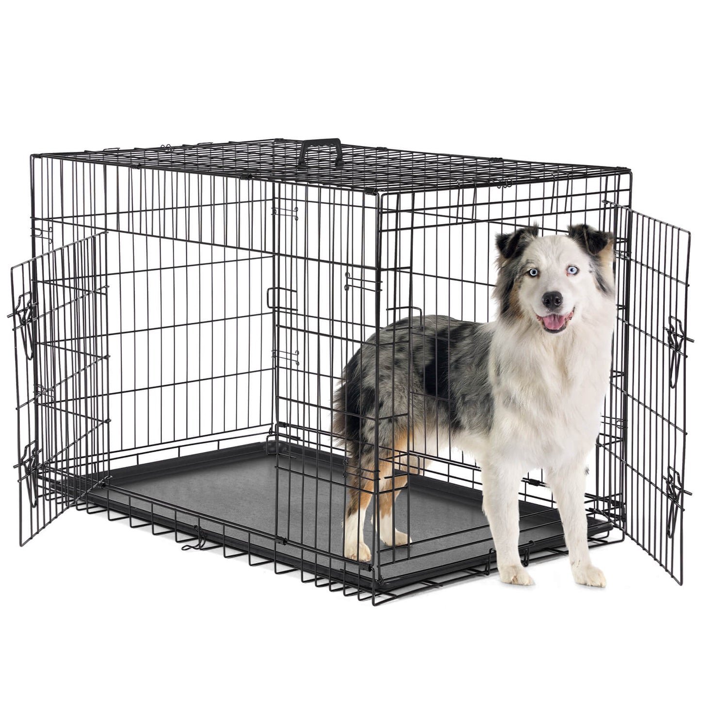 Dog Crate-24/30/36/42/48 inch, Double Door Dog Cage with Divider Panel and Plastic Leak-Proof Pan Tray, foldable, easy to carry, suitable for indoor, outdoor, travel use.