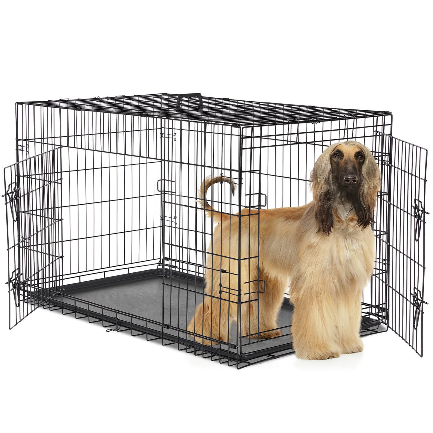 Dog Crate-24/30/36/42/48 inch, Double Door Dog Cage with Divider Panel and Plastic Leak-Proof Pan Tray, foldable, easy to carry, suitable for indoor, outdoor, travel use.